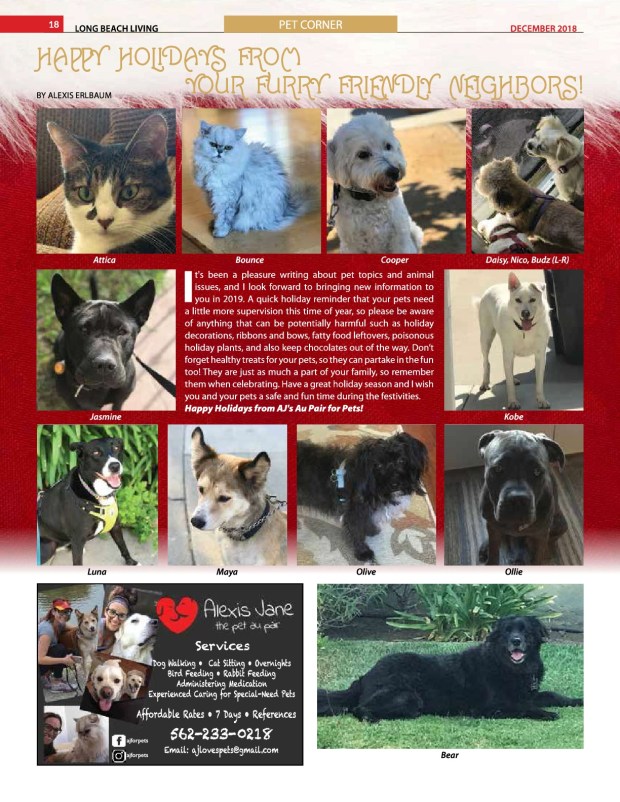 PetCornerDec2018 (1)-001
